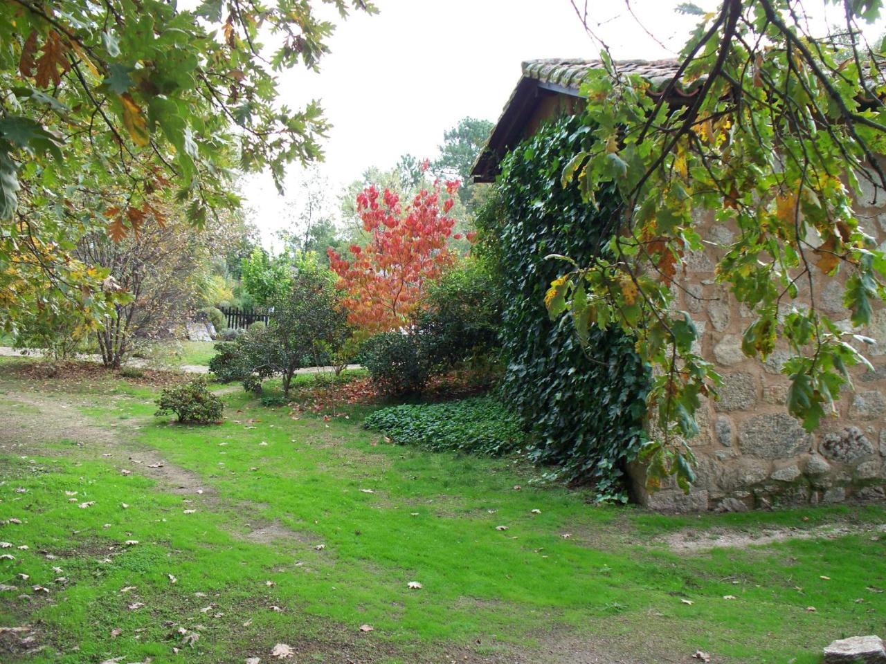 Apartamentos El Roble Valverde de la Vera 外观 照片